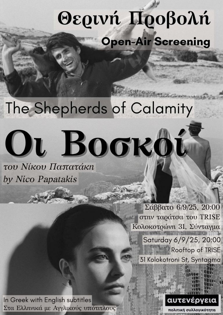 Les pâtres du désordre